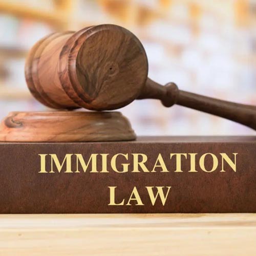 وکیل-متخصص-در-وکالت-دعاوی-حقوق-مهاجرت-در-کرج